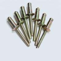 Factory High Quality Steel/Steel Hemlock Rivets