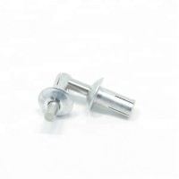 Aluminium Brazier Head Drive Pin Rivets